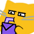 meow_stare meow_stare